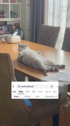 ตัวอย่างผลงานของอินฟลูเอนเซอร์