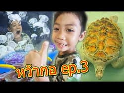 ตัวอย่างผลงานของอินฟลูเอนเซอร์