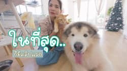 ตัวอย่างผลงานของอินฟลูเอนเซอร์
