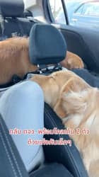 ตัวอย่างผลงานของอินฟลูเอนเซอร์