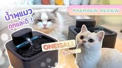 ตัวอย่างผลงานของอินฟลูเอนเซอร์