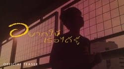 ตัวอย่างผลงานของอินฟลูเอนเซอร์