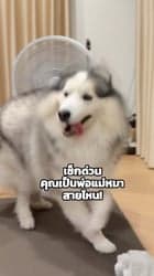 ตัวอย่างผลงานของอินฟลูเอนเซอร์