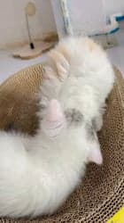 ตัวอย่างผลงานของอินฟลูเอนเซอร์