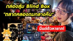 ตัวอย่างผลงานของอินฟลูเอนเซอร์