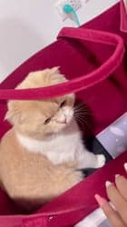 ตัวอย่างผลงานของอินฟลูเอนเซอร์