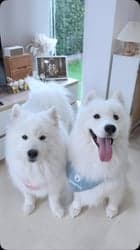 ตัวอย่างผลงานของอินฟลูเอนเซอร์