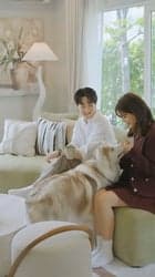 ตัวอย่างผลงานของอินฟลูเอนเซอร์