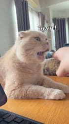 ตัวอย่างผลงานของอินฟลูเอนเซอร์