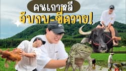 ตัวอย่างผลงานของอินฟลูเอนเซอร์