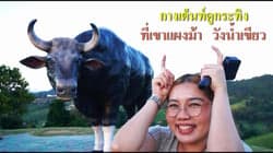 ตัวอย่างผลงานของอินฟลูเอนเซอร์