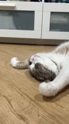 ตัวอย่างผลงานของอินฟลูเอนเซอร์