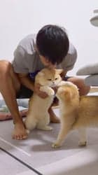 ตัวอย่างผลงานของอินฟลูเอนเซอร์