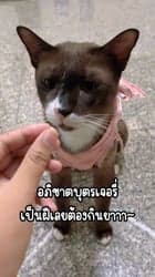 ตัวอย่างผลงานของอินฟลูเอนเซอร์