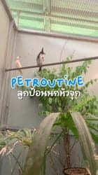 ตัวอย่างผลงานของอินฟลูเอนเซอร์