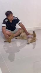 ตัวอย่างผลงานของอินฟลูเอนเซอร์