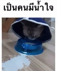 ตัวอย่างผลงานของอินฟลูเอนเซอร์