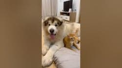 ตัวอย่างผลงานของอินฟลูเอนเซอร์