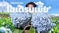 ตัวอย่างผลงานของอินฟลูเอนเซอร์
