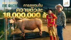 ตัวอย่างผลงานของอินฟลูเอนเซอร์