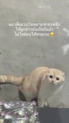 ตัวอย่างผลงานของอินฟลูเอนเซอร์