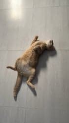 ตัวอย่างผลงานของอินฟลูเอนเซอร์