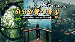 ตัวอย่างผลงานของอินฟลูเอนเซอร์
