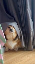 ตัวอย่างผลงานของอินฟลูเอนเซอร์