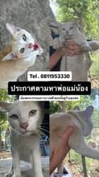 ตัวอย่างผลงานของอินฟลูเอนเซอร์