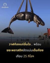 ตัวอย่างผลงานของอินฟลูเอนเซอร์