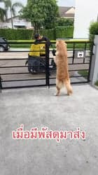 ตัวอย่างผลงานของอินฟลูเอนเซอร์
