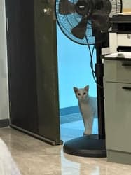 ตัวอย่างผลงานของอินฟลูเอนเซอร์