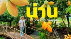 ตัวอย่างผลงานของอินฟลูเอนเซอร์