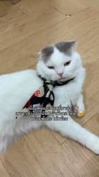 ตัวอย่างผลงานของอินฟลูเอนเซอร์