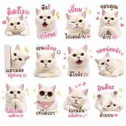 ตัวอย่างผลงานของอินฟลูเอนเซอร์