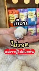 ตัวอย่างผลงานของอินฟลูเอนเซอร์