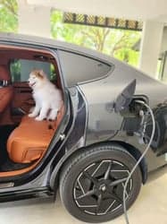 ตัวอย่างผลงานของอินฟลูเอนเซอร์