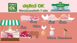 ตัวอย่างผลงานของอินฟลูเอนเซอร์
