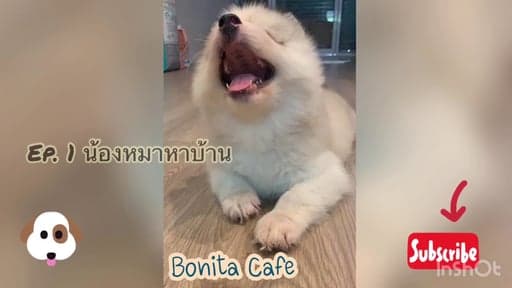 ตัวอย่างผลงานของอินฟลูเอนเซอร์