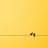 อินฟลูเอนเซอร์ X (Twitter) ผู้ติดตาม 10K+