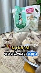 ตัวอย่างผลงานของอินฟลูเอนเซอร์