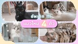 ตัวอย่างผลงานของอินฟลูเอนเซอร์