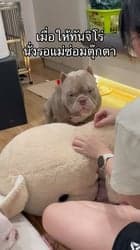 ตัวอย่างผลงานของอินฟลูเอนเซอร์