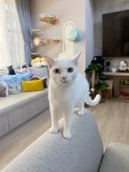 ตัวอย่างผลงานของอินฟลูเอนเซอร์