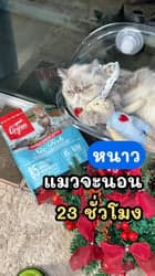 ตัวอย่างผลงานของอินฟลูเอนเซอร์