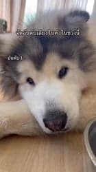 ตัวอย่างผลงานของอินฟลูเอนเซอร์