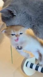 ตัวอย่างผลงานของอินฟลูเอนเซอร์