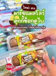ตัวอย่างผลงานของอินฟลูเอนเซอร์