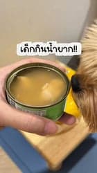 ตัวอย่างผลงานของอินฟลูเอนเซอร์