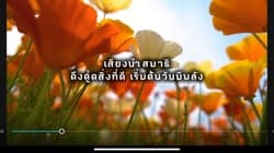 ตัวอย่างผลงานของอินฟลูเอนเซอร์